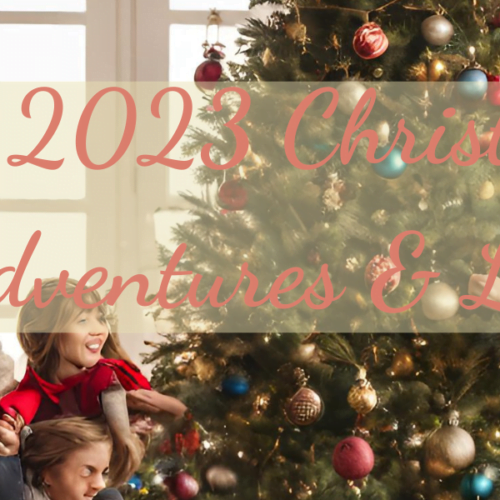 Christmas Diary: My Family & Christmas